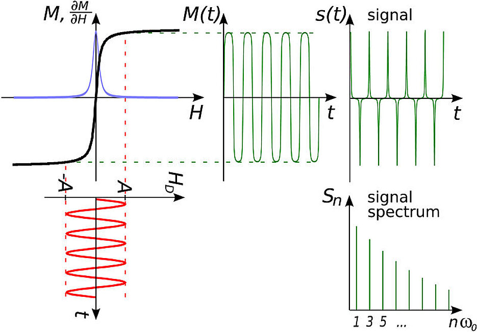 Grafik: MPI (Magnetpartikelbildgebung) Signalgenerierung 