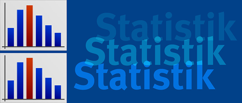 Schriftzug Statistik mit Logo