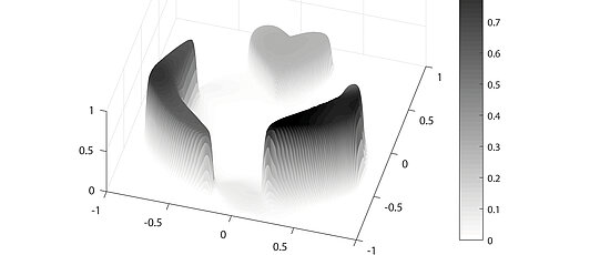 Graphic heart image analysis