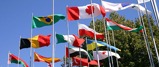 International flags on the mast